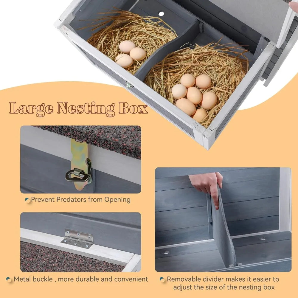 Large Chicken Coop with Upgraded Perches
