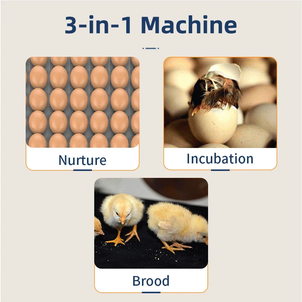 64/6 Chicken Duck Quail Egg Incubator