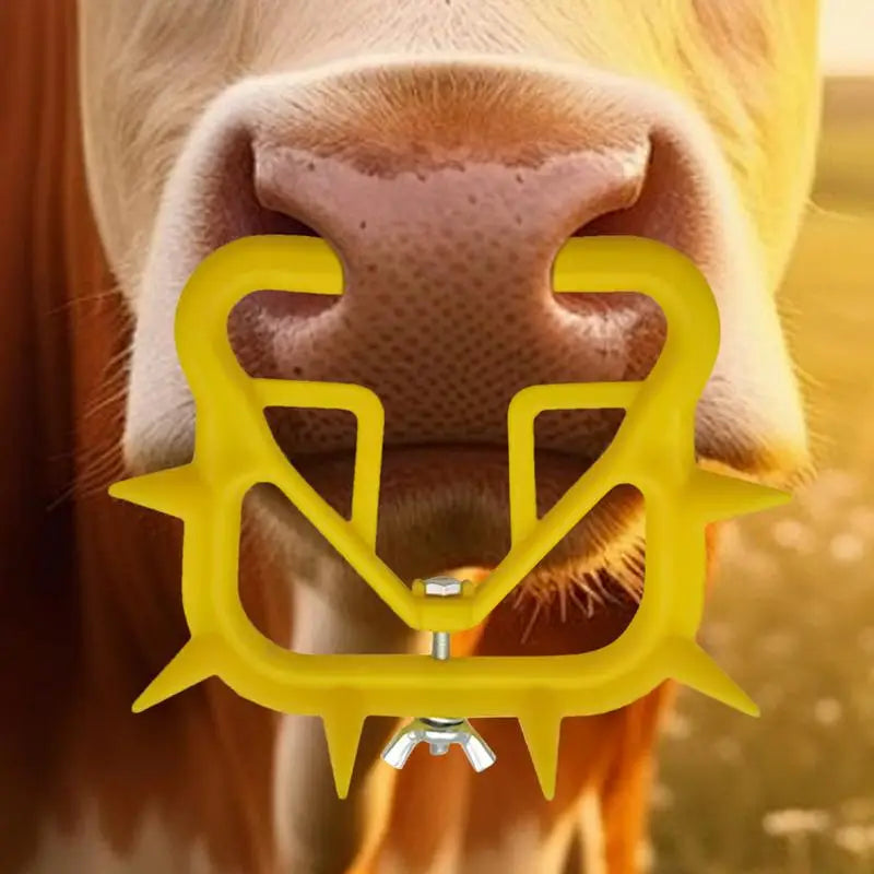 Cow Nose Ring