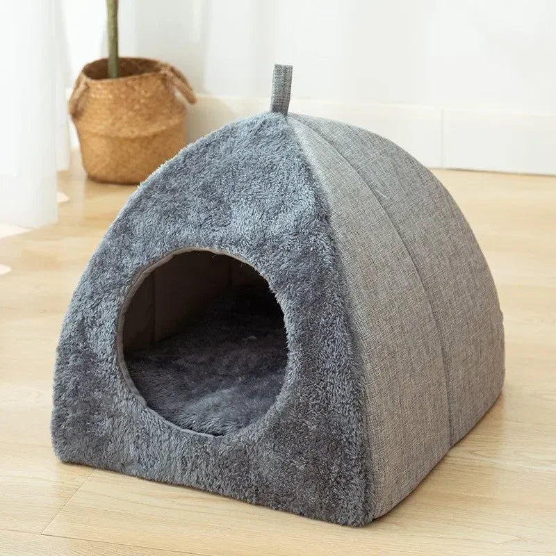 New Triangle Cat