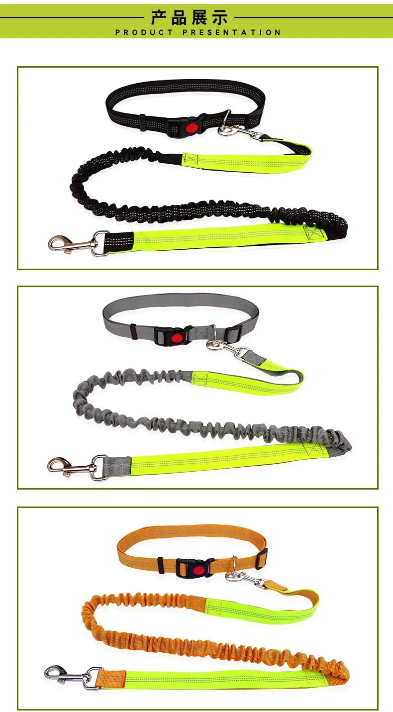 Hand Free Dog Leash for Pet Walking Running Jogging