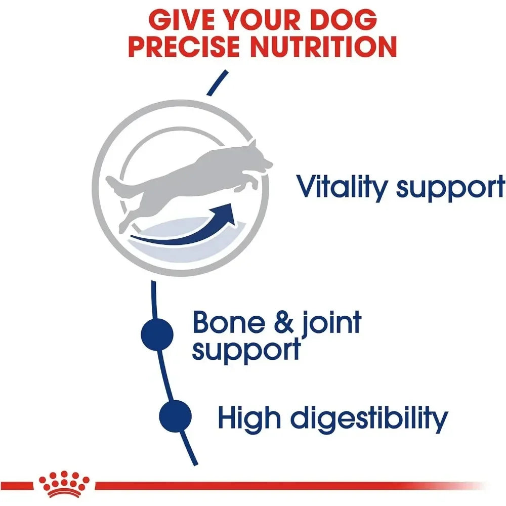Large Adult 5+ Dry Dog Food for Older Dogs