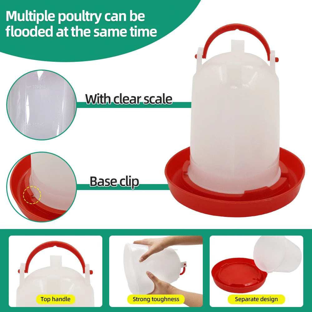 Chicken Poultry Feeder And Waterer Kit