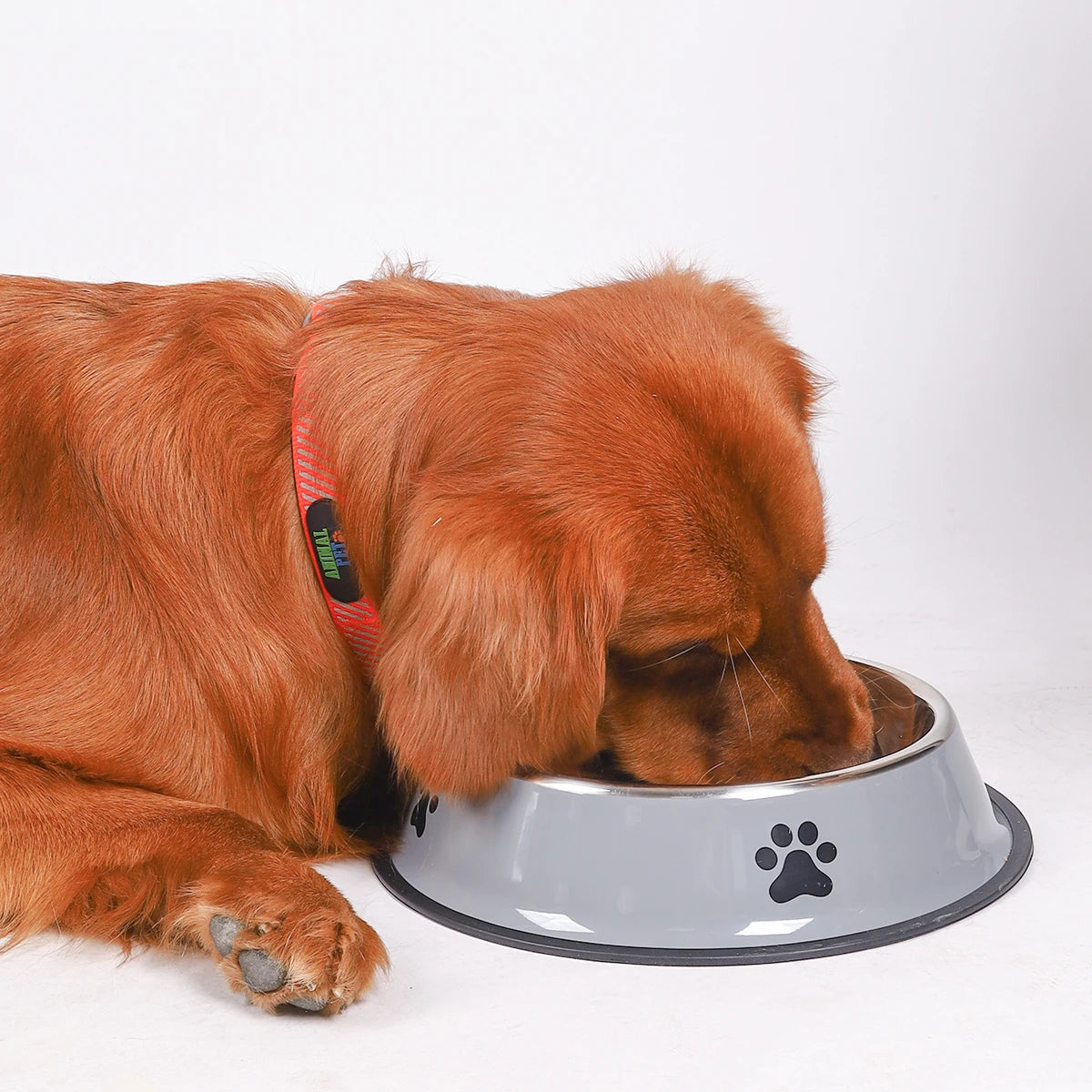 1PC Stainless Steel Pet Bowl