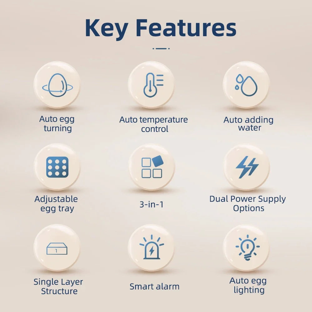 64/6 Chicken Duck Quail Egg Incubator