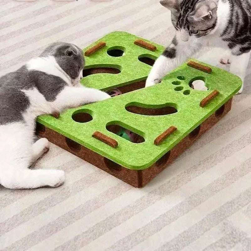 Pet Cat Puzzle Maze Holes Toys