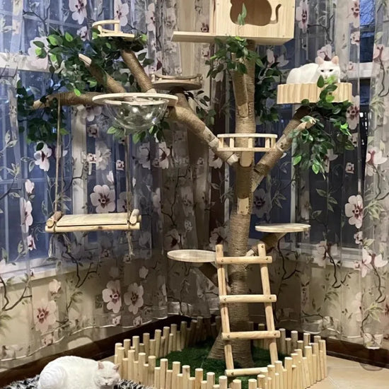 Cat climbing frame