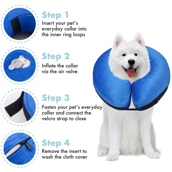 Dog Collar After Surgery