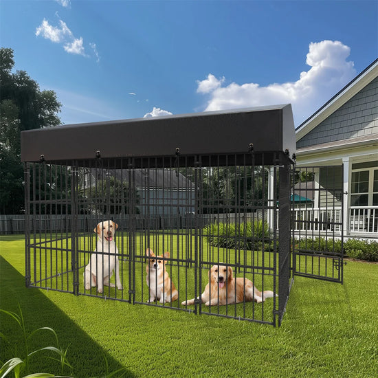 64.9” Heavy Duty Dog Kennel