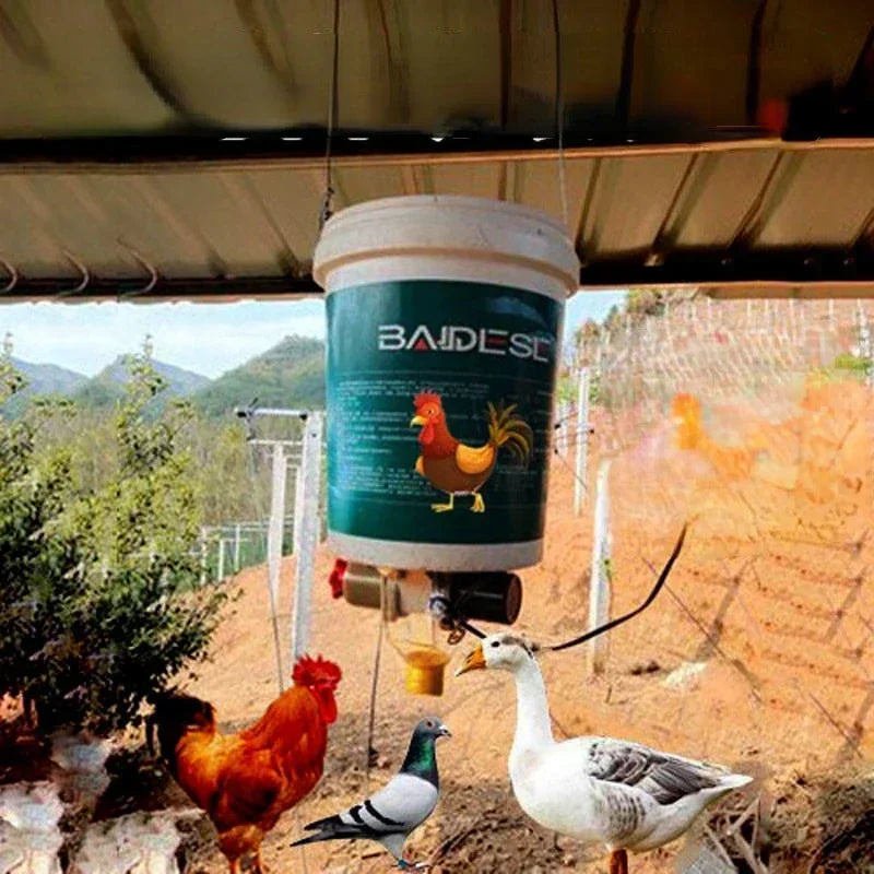 Automatic Chicken Feeder