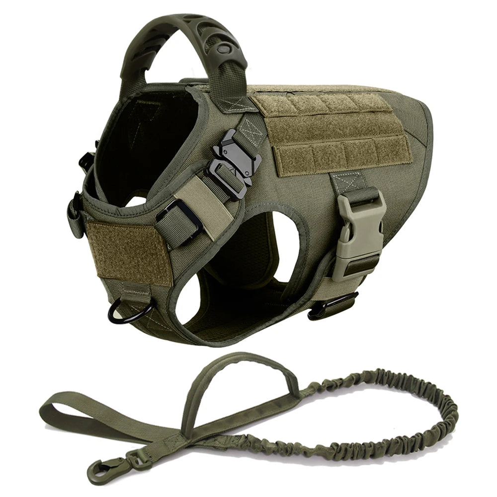 Large Dog Harness and Leash Set