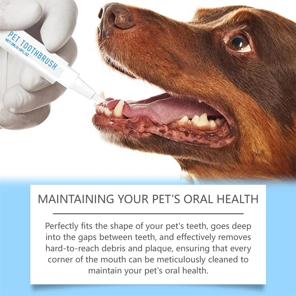 Pets Dogs Teeth Cleaning Tools