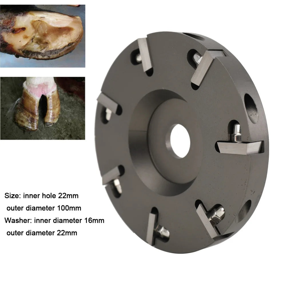 Hoof Care Tool