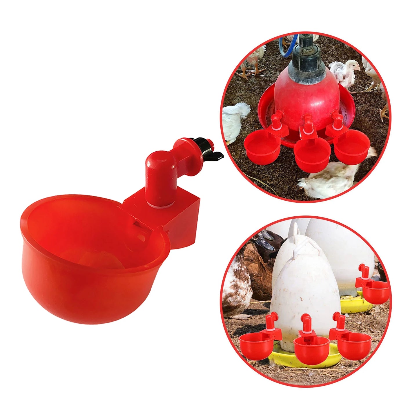 36-1PCS Chicken Drinking Cup