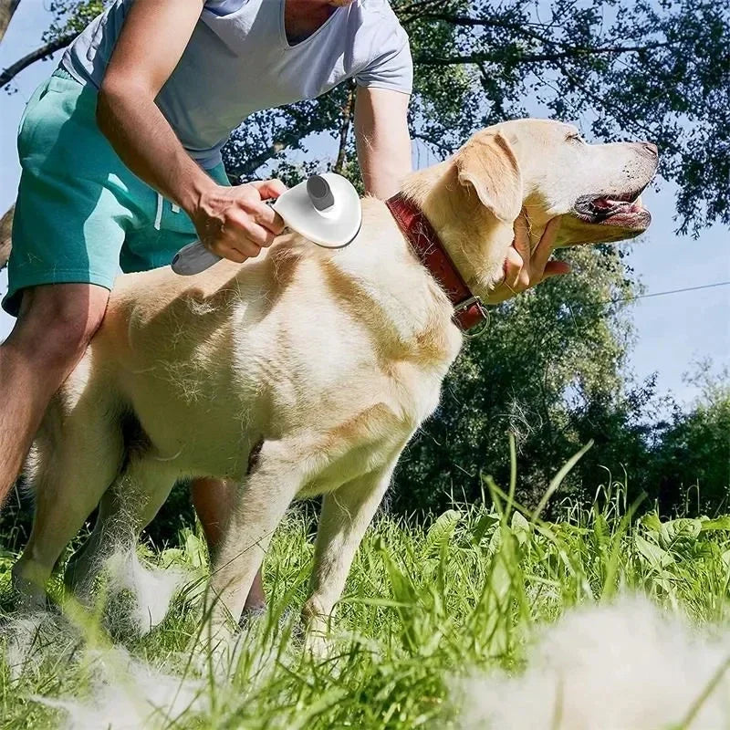 Pet Dog Brush Cat Comb Self Cleaning