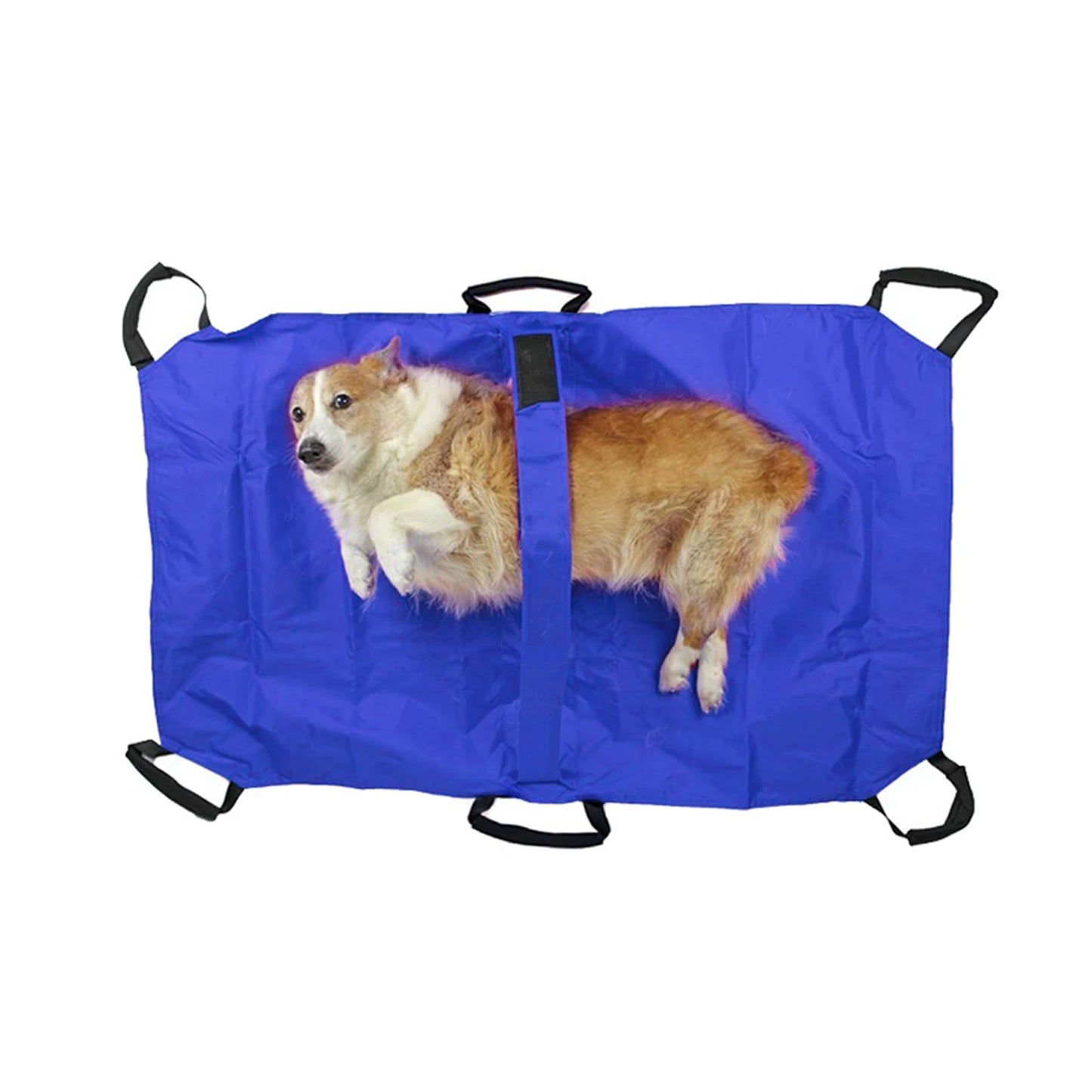 Pet Transport Stretcher, Foldable