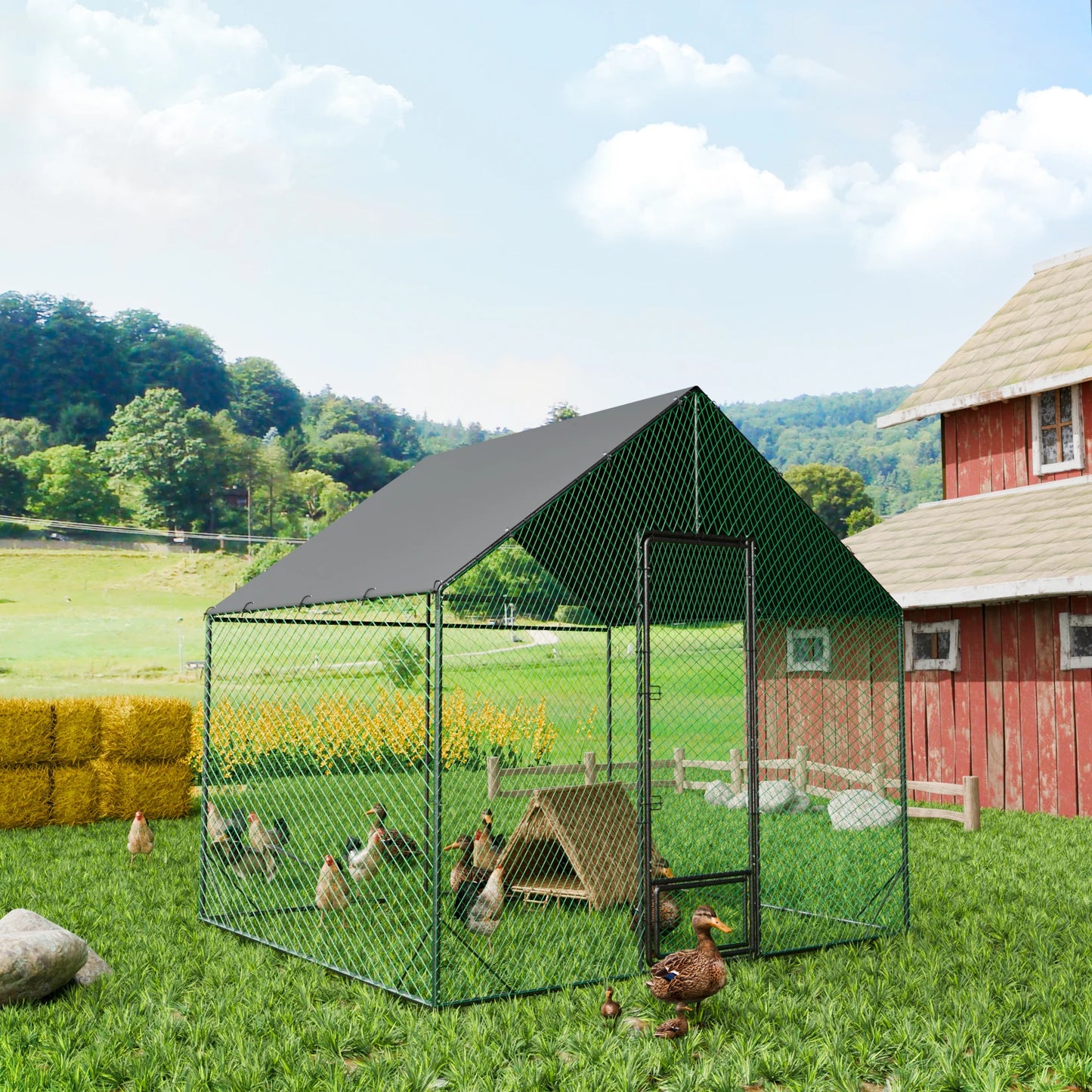Heavy Duty Upgrade Outdoor Chicken Coop