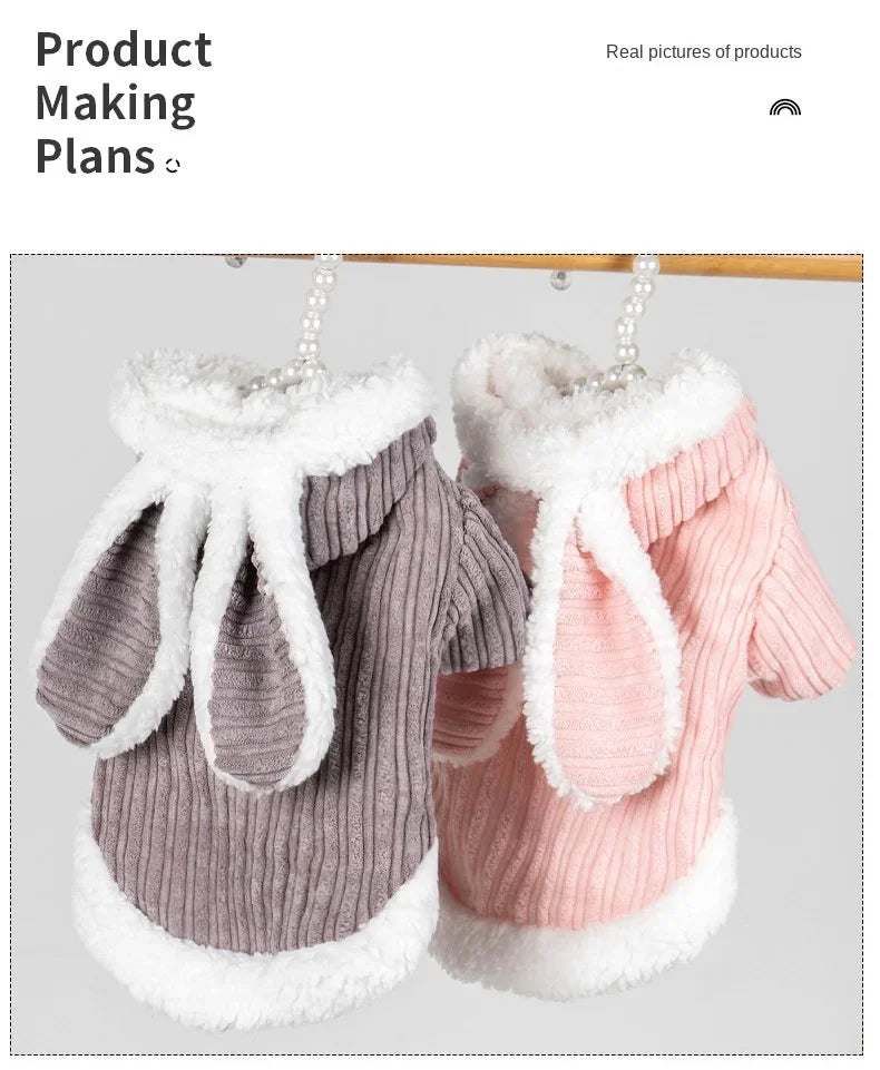 Warm Winter Clothes for Kittens