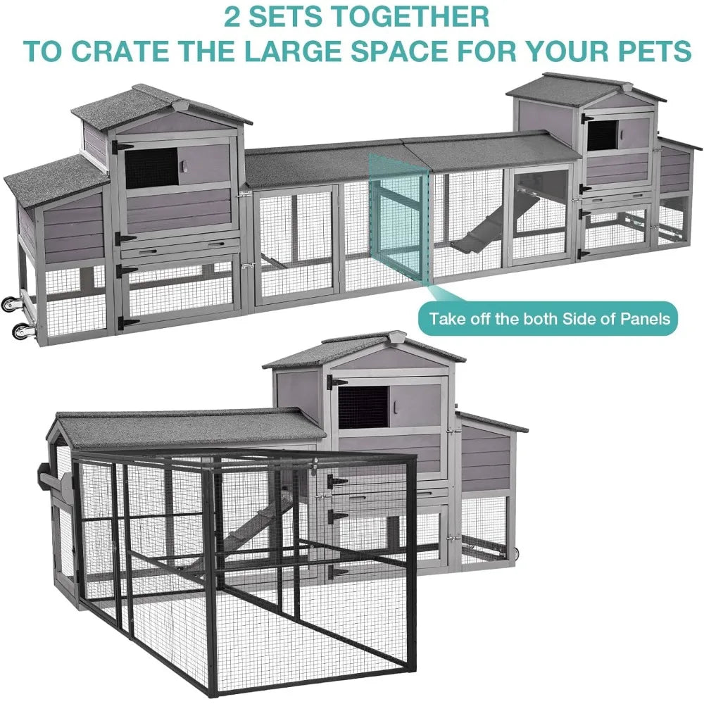 Chicken Coop