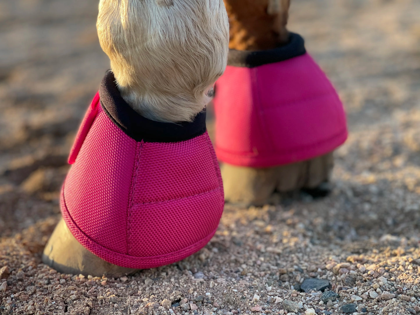 TGW RIDING 2520D Horse Bell Boots