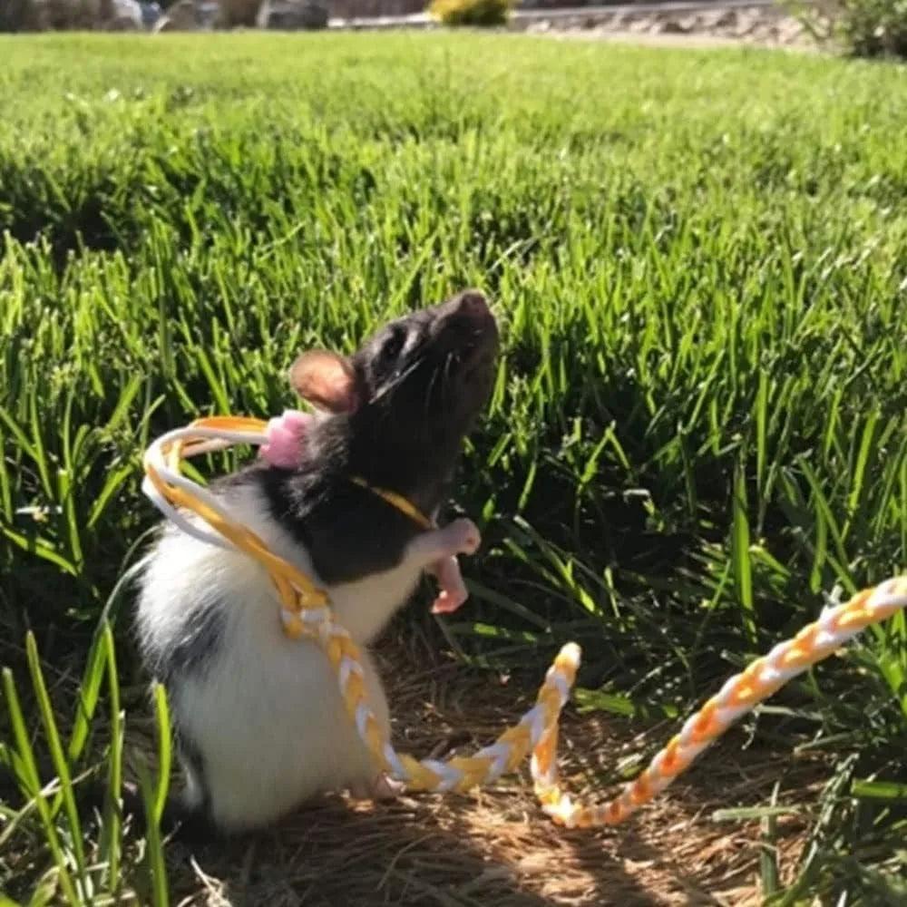 Adjustable Rat Leash Hamster Leash