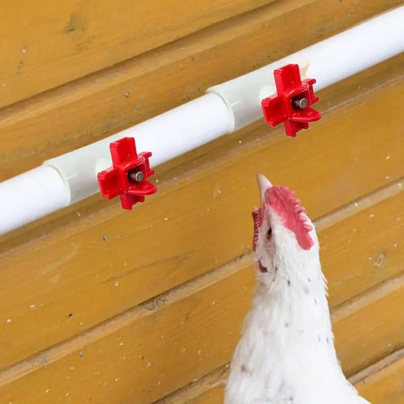 Chicken Water Cups For Poultry