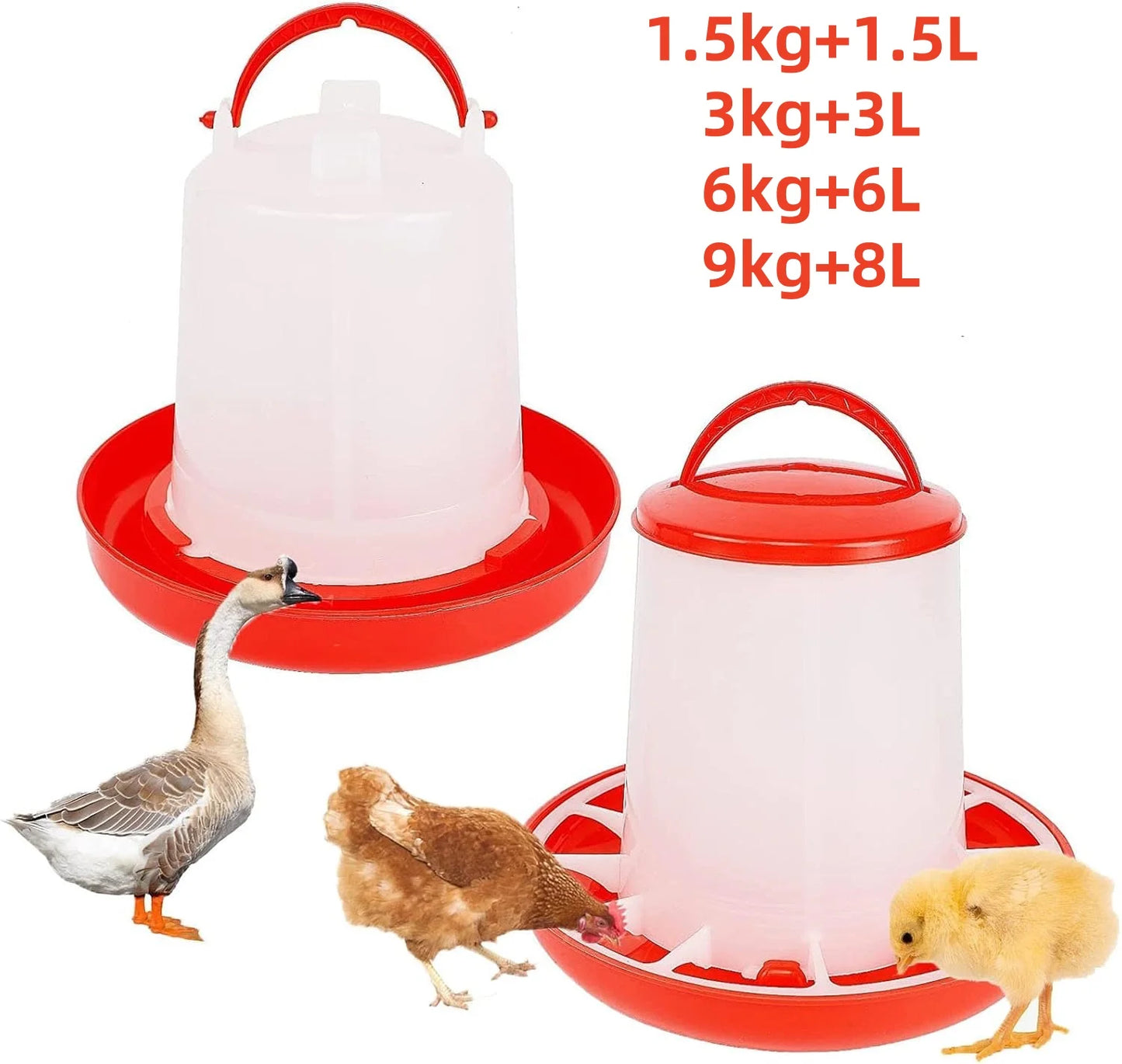 Chicken Poultry Feeder And Waterer Kit