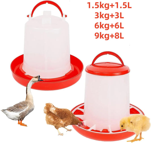 Chicken Poultry Feeder And Waterer Kit