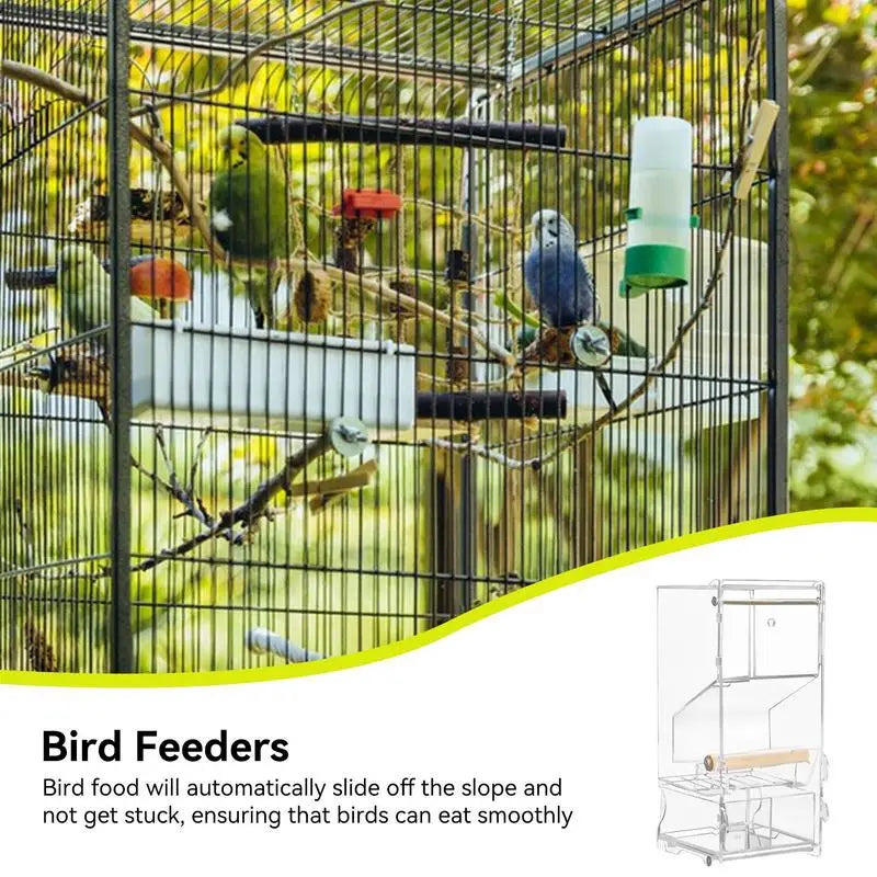 Parrot automatic feede