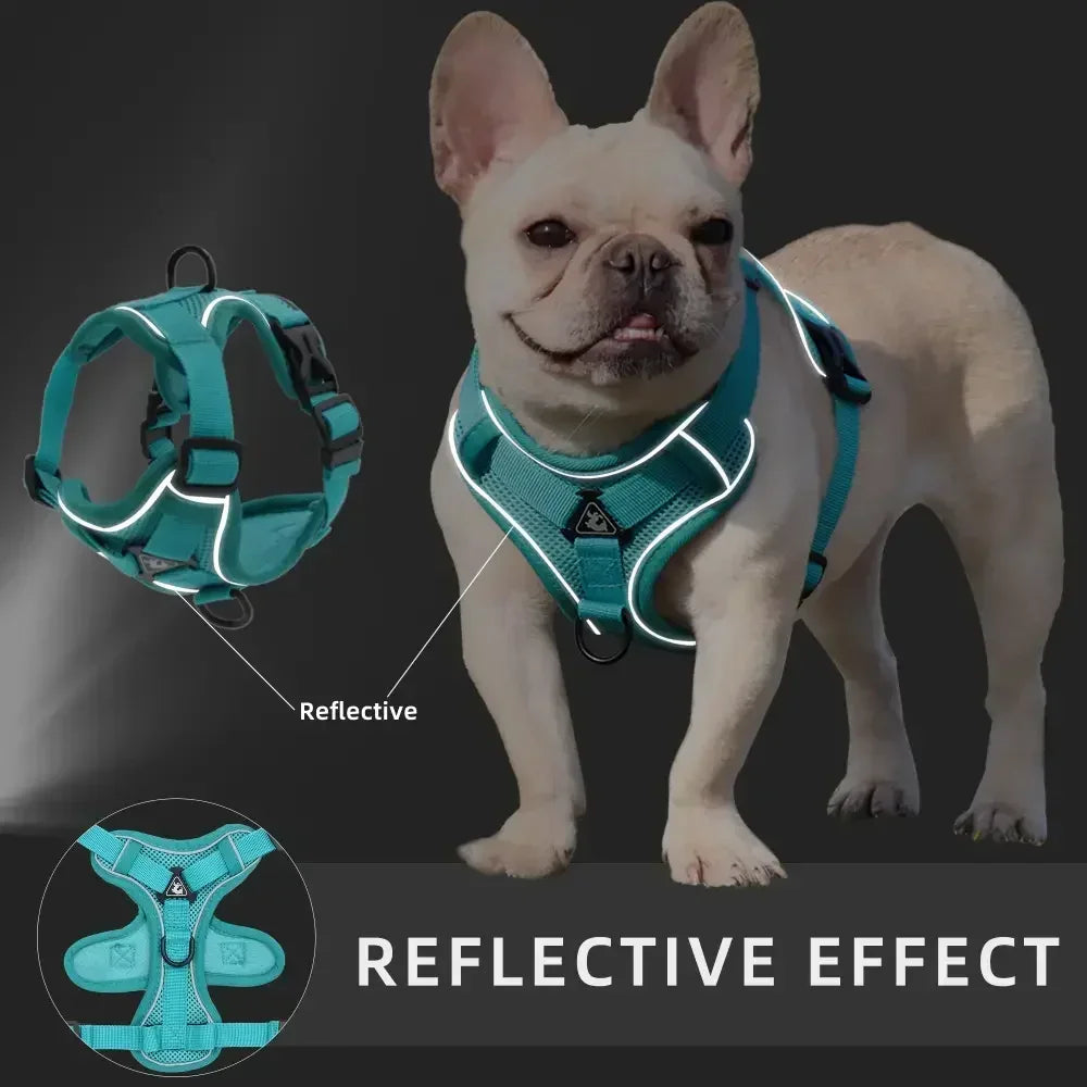 No Pull Dog Harness and Leash Set