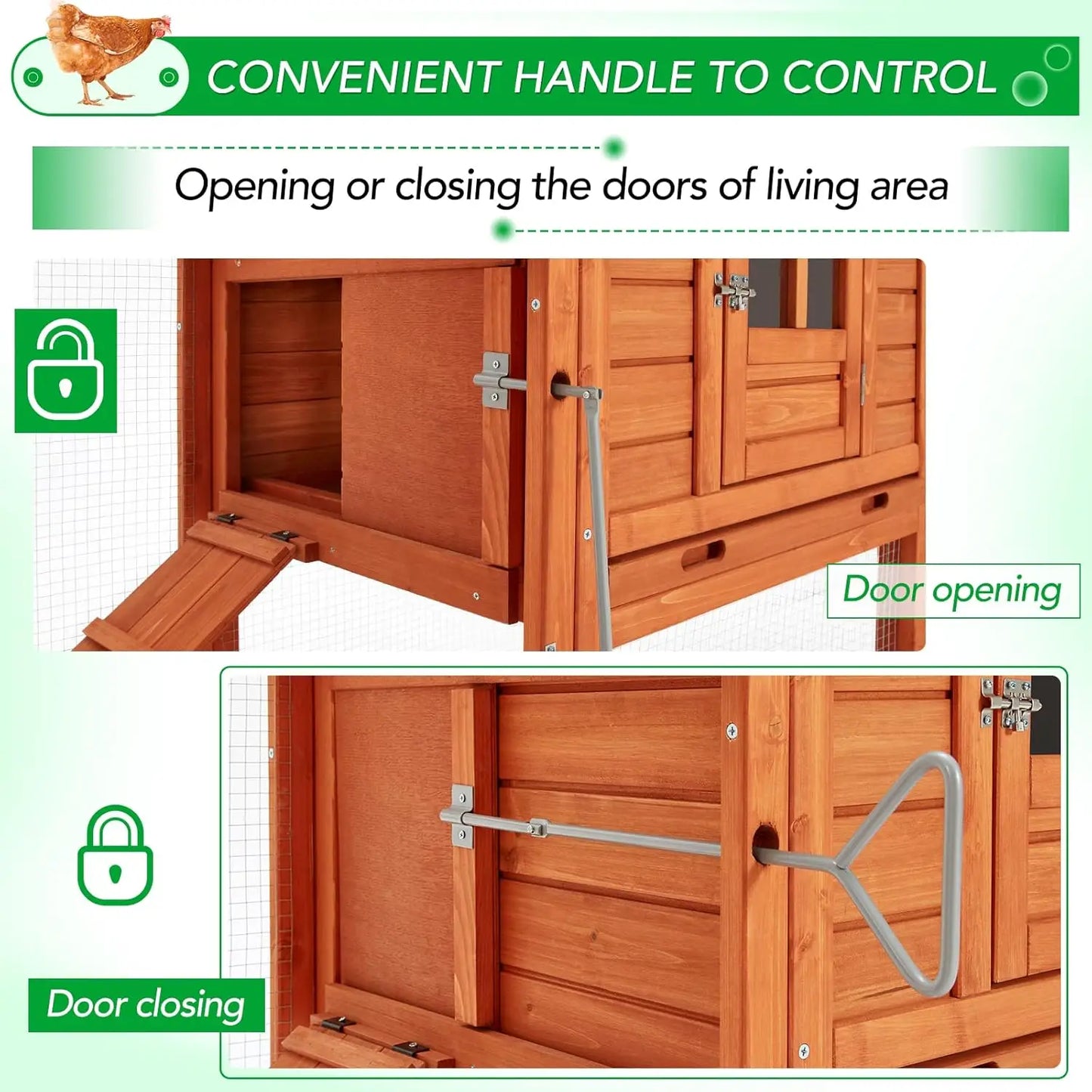 Large Chicken Coop
