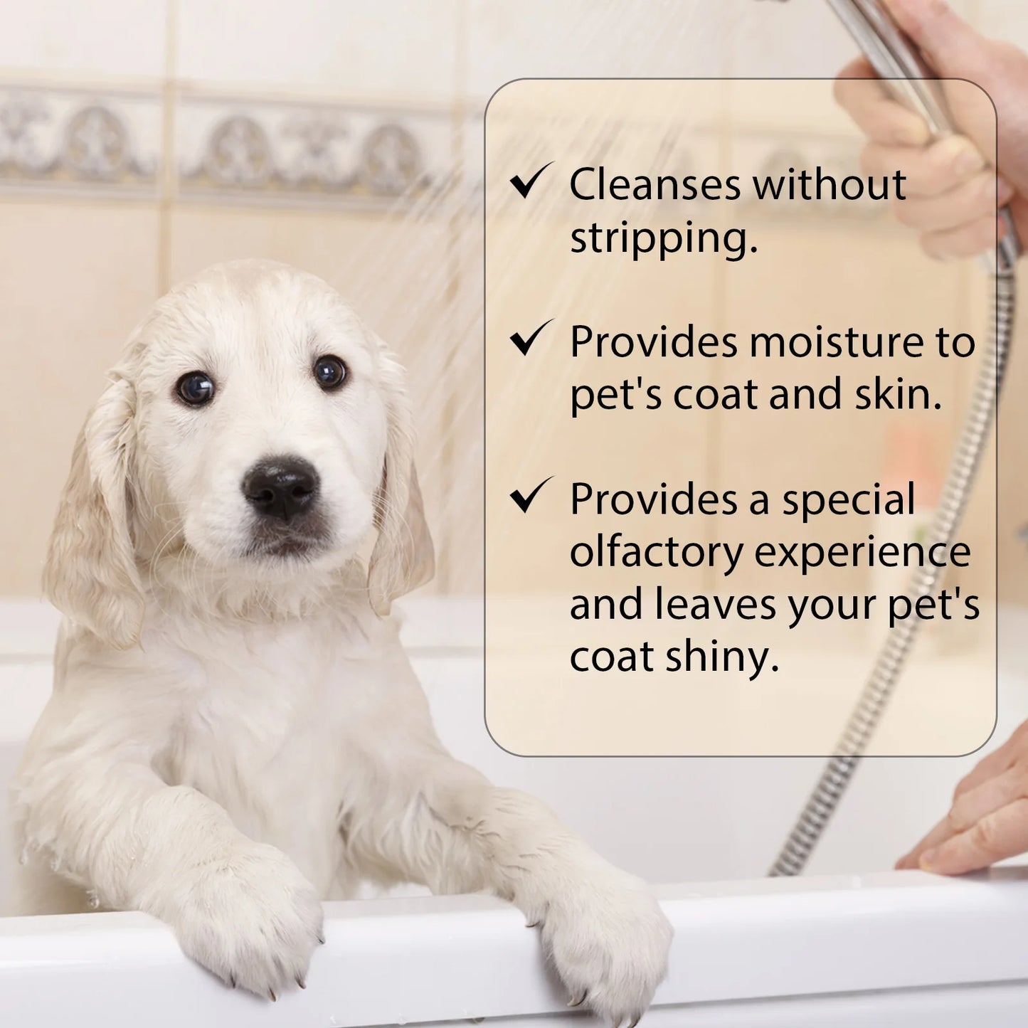 1-4PCS Pet Shampoo