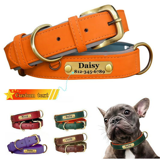 Customizable Leather Dog Collars