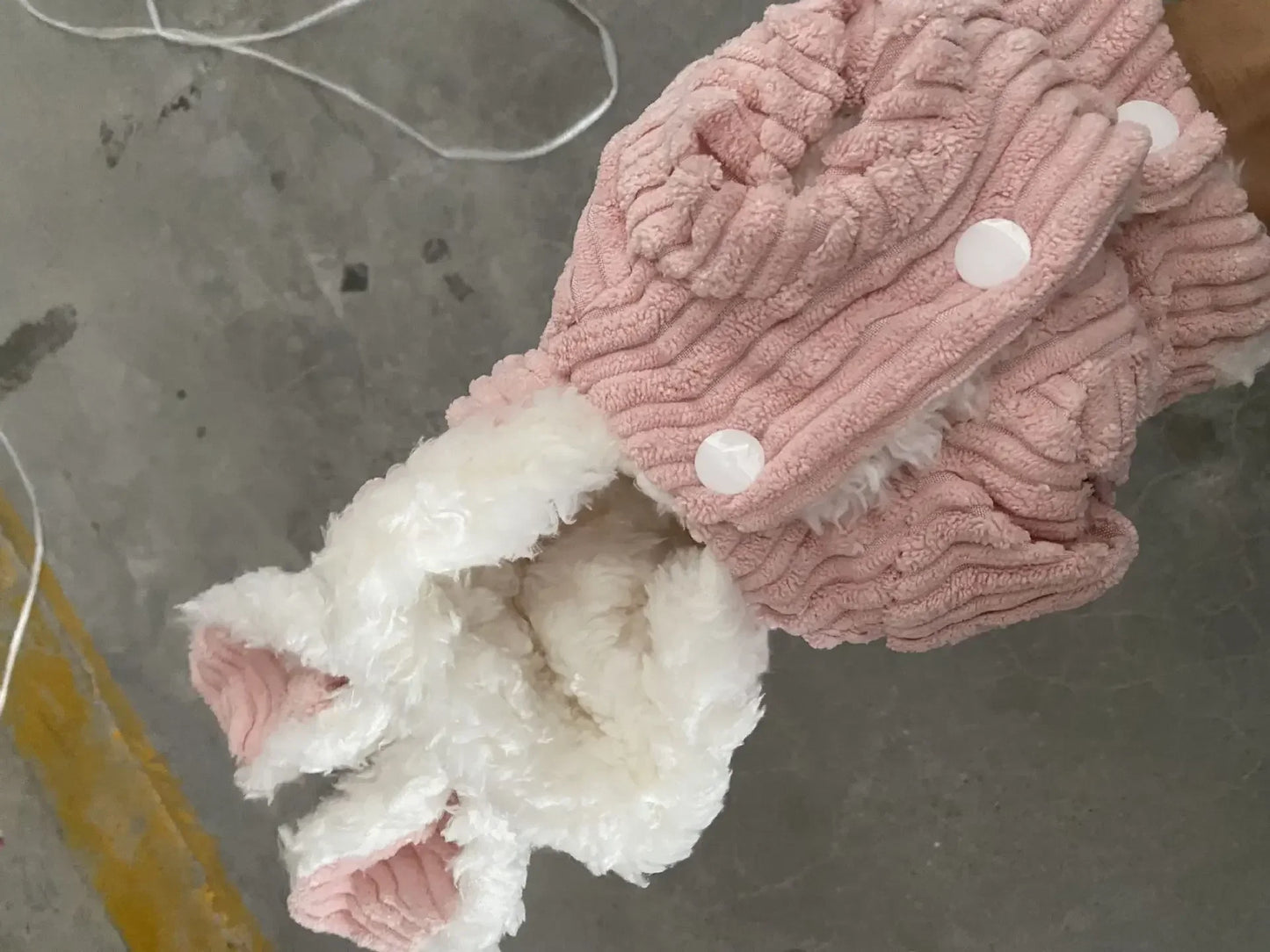 Warm Winter Clothes for Kittens