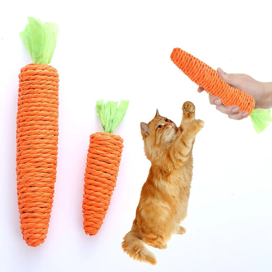 Toy Carrot with Sound
