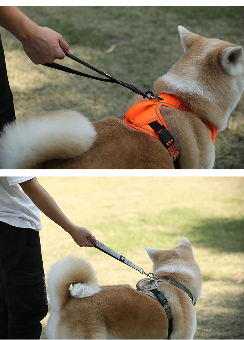 Short Dog Leash