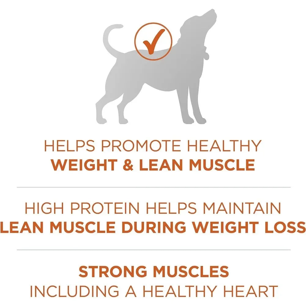 Plus Healthy Weight High-Protein Dog Food