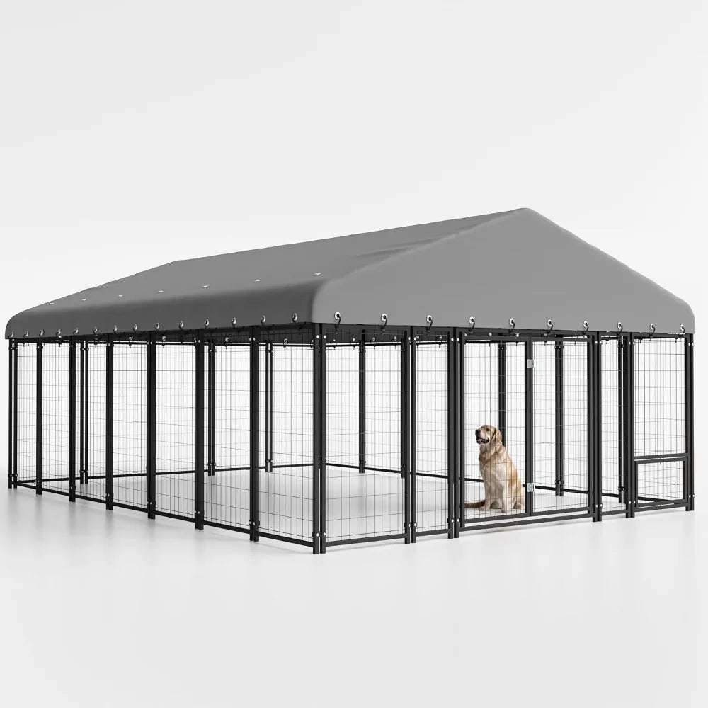 Dog Kennel Outside