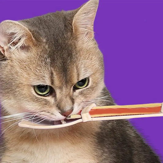 Cat Squeeze Feeder Wet Food Spoon