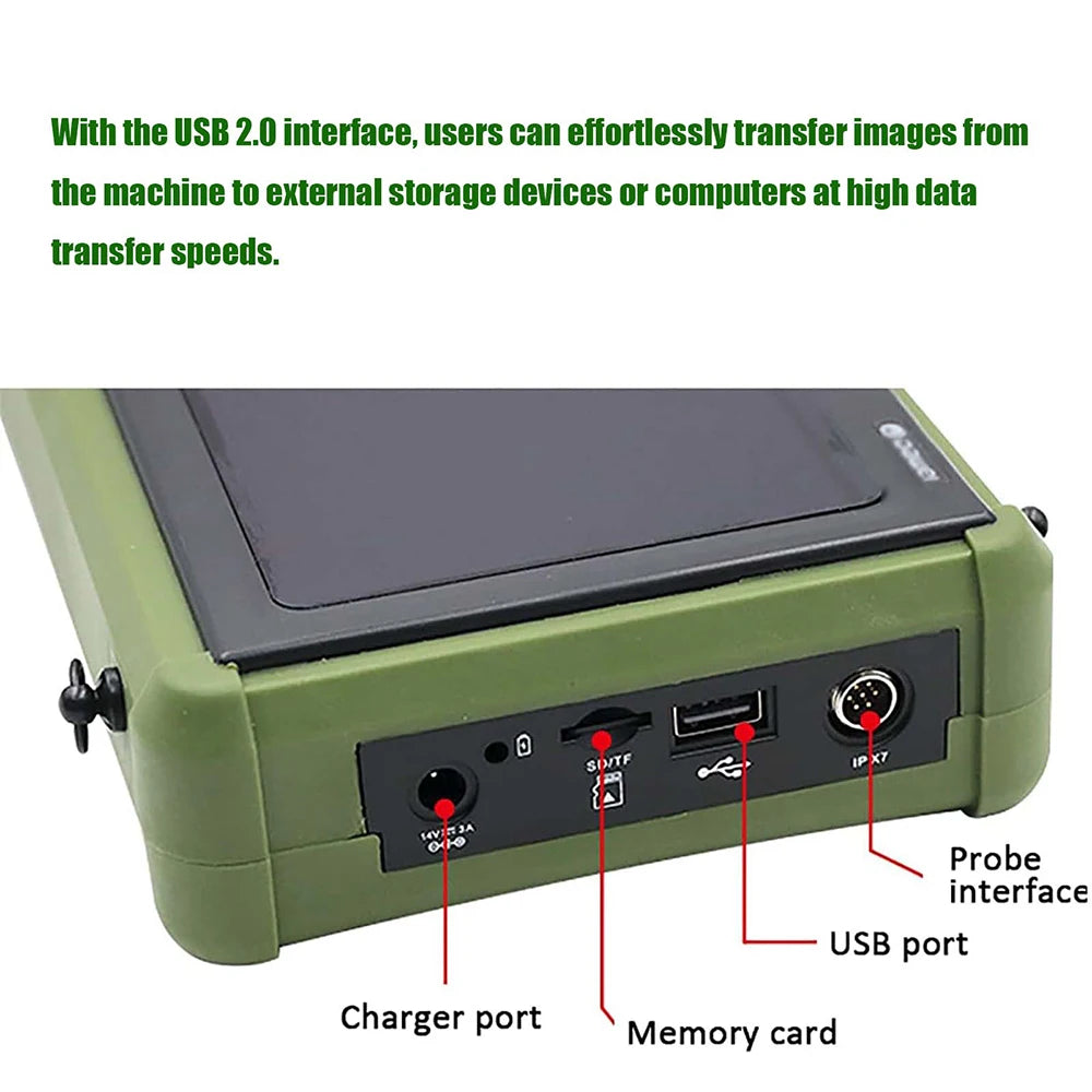 Portable Veterinary Ultrasound Scanner for Pregnancy