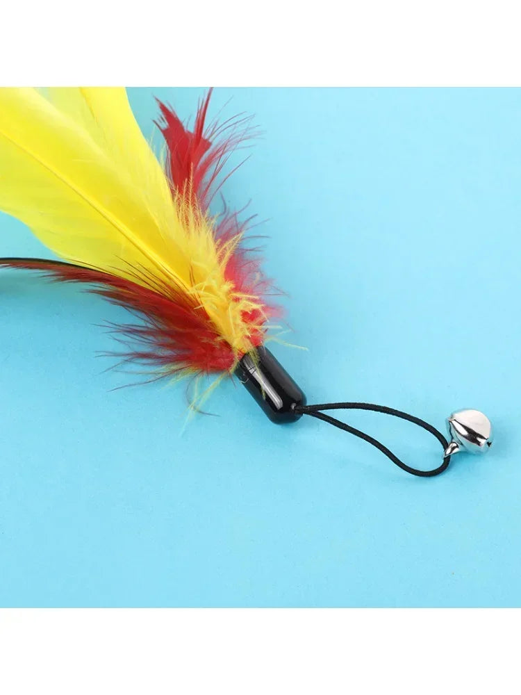 Pet Cat Toy with Bell Color Feather