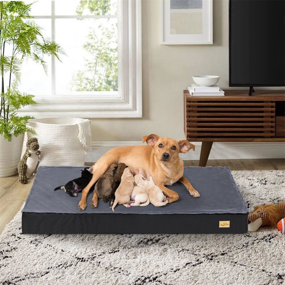 Large Orthopaedic Dog Bed