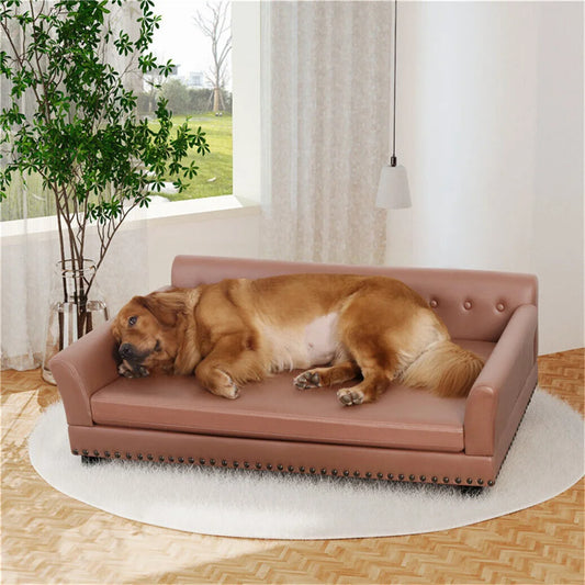 Large Elevated Dog Bed