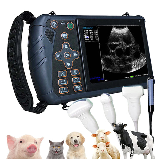 Portable Veterinary Ultrasound Scanner