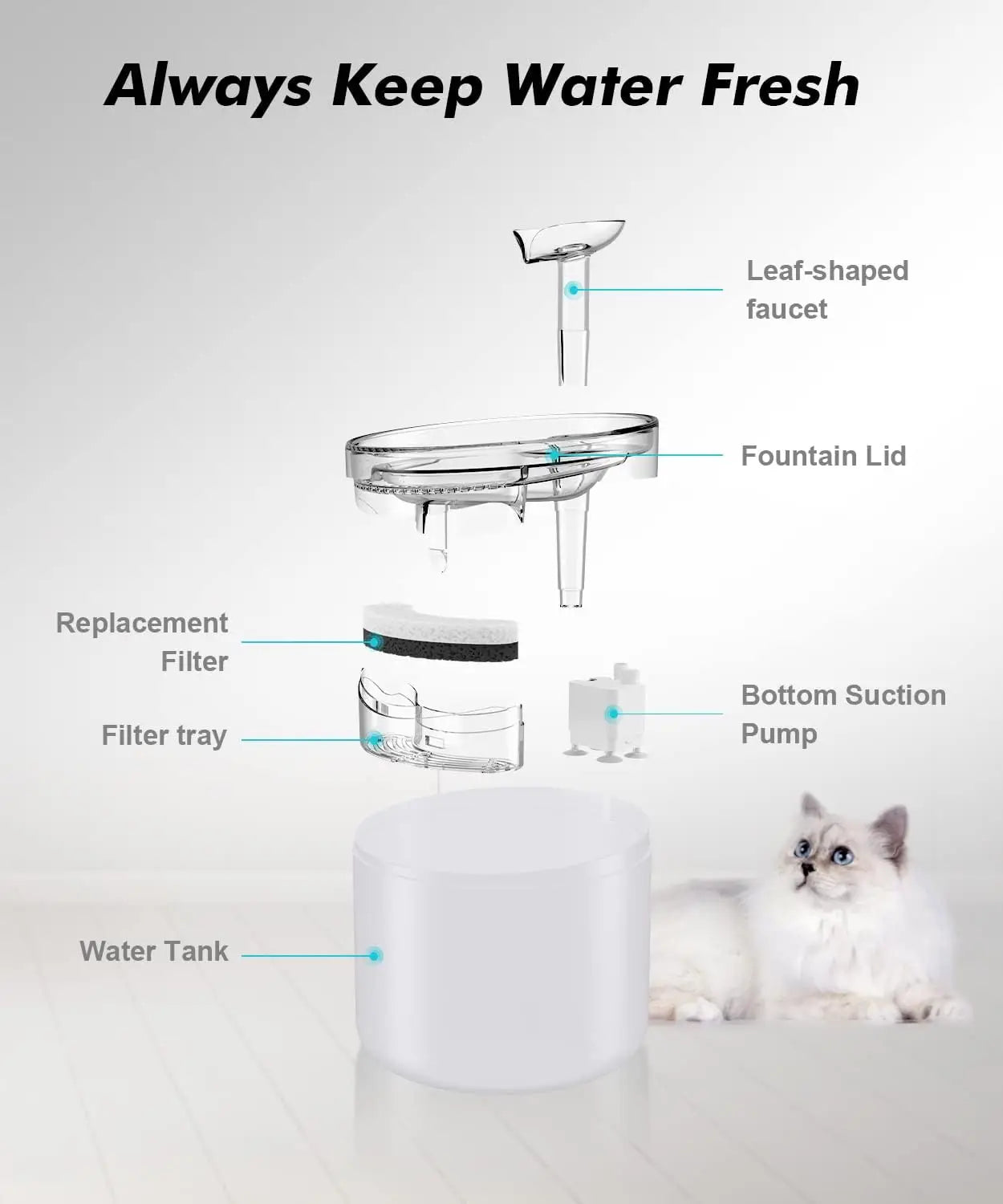 NPET WF100 Cat Water Fountain