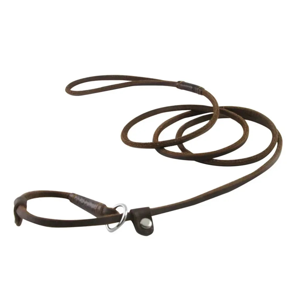 Genuine Leather Slip Dog Leash