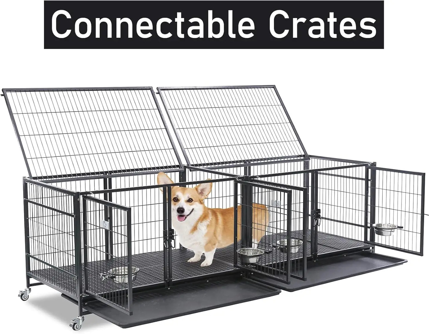Homey Pet-43