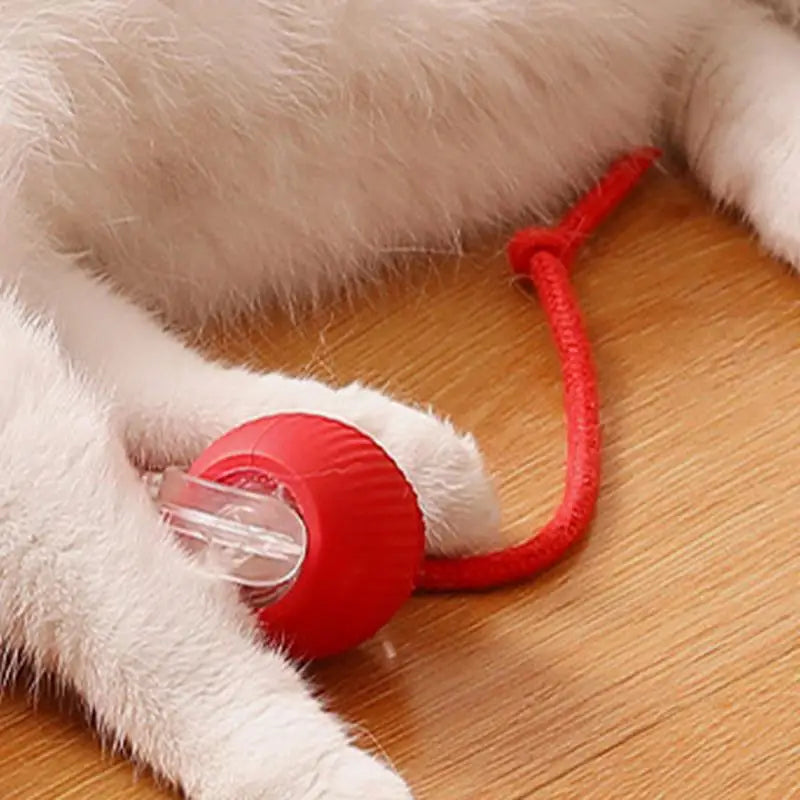 Smart Pet Interactive Automatic Rolling Ball Toy