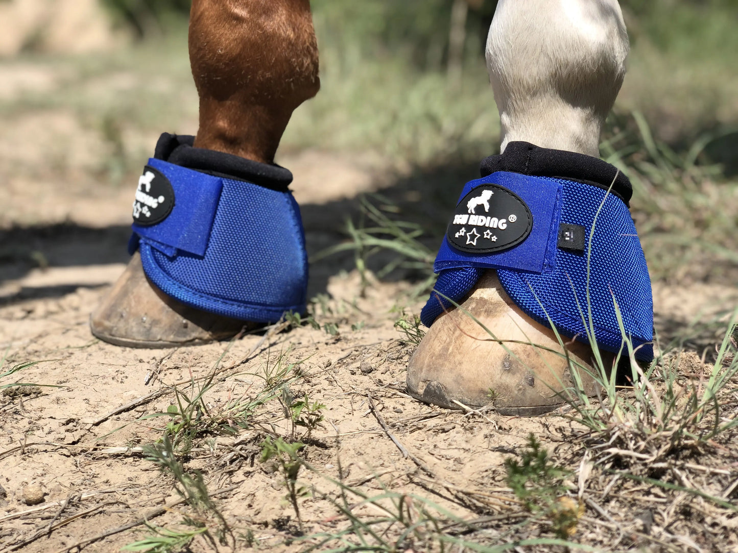 TGW RIDING 2520D Horse Bell Boots