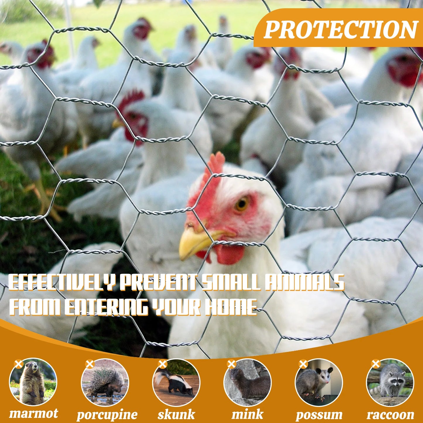 High-Quality Iron Wire Galvanized Hexagonal Wire Mesh